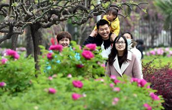 Tourists visit peony garden in Luoyang