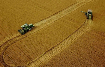 Wheat harvested in central China's Henan