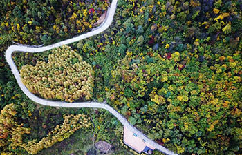 Autumn scenery of Yunping Three Gorges natural scenic area in NW China