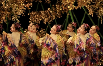 South Coast Plaza in California, U.S. holds activities to celebrate Chinese New Year