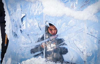 Sculptors take part in 9th China Harbin International Ice-Assemblage Championship