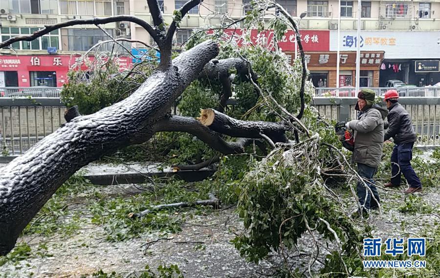 （新华全媒头条）（7）雨雪冰冻中，他们奋力前行——基层党员干群抗击冰雪灾害纪实