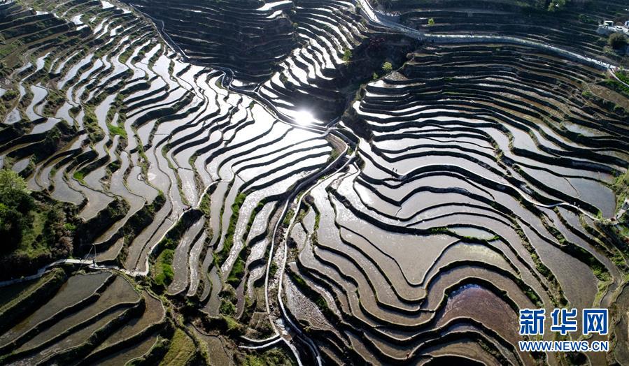 （社会）（3）湖北蕲春：梯田景观成就扶贫产业