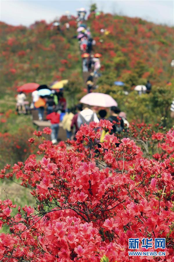 #（环境）（4）花开在四月