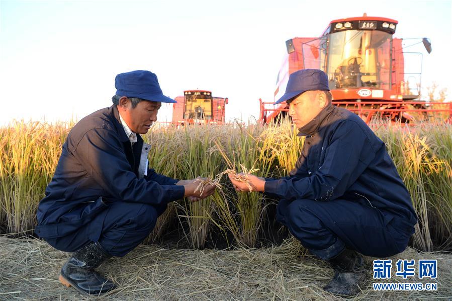 （新华全媒头条·图文互动）（3）情系黑土地——习近平总书记考察东北三省回访记