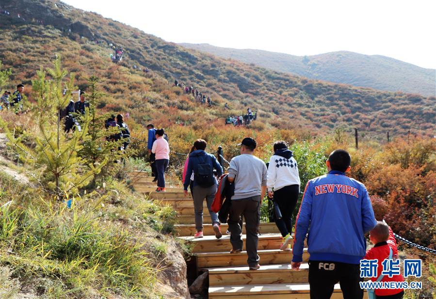 （城市绿道建设·图文互动）（5）青城登山步道：踏遍青山享美景 生态绿道助脱贫