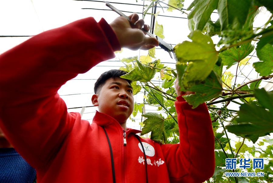 （爱国情 奋斗者·图文互动）（8） “解民生之多艰，育天下之英才”——中国农大师生扎根田野书写奉献之歌