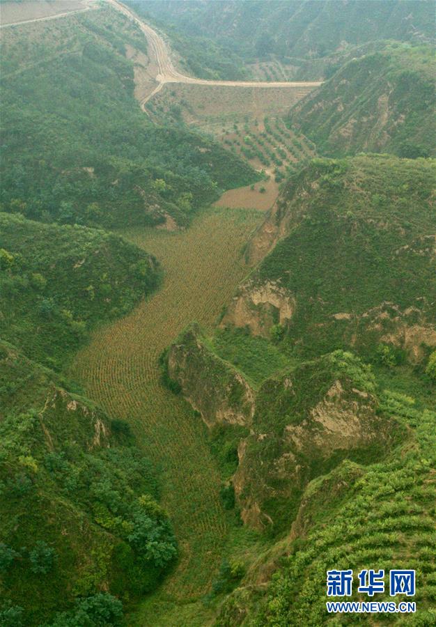 （走读黄河·图文互动）（2）拦沙入黄显“功夫”——黄土高原无定河畔淤地坝见闻