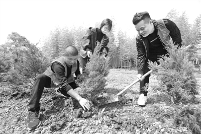 植树添绿正当时