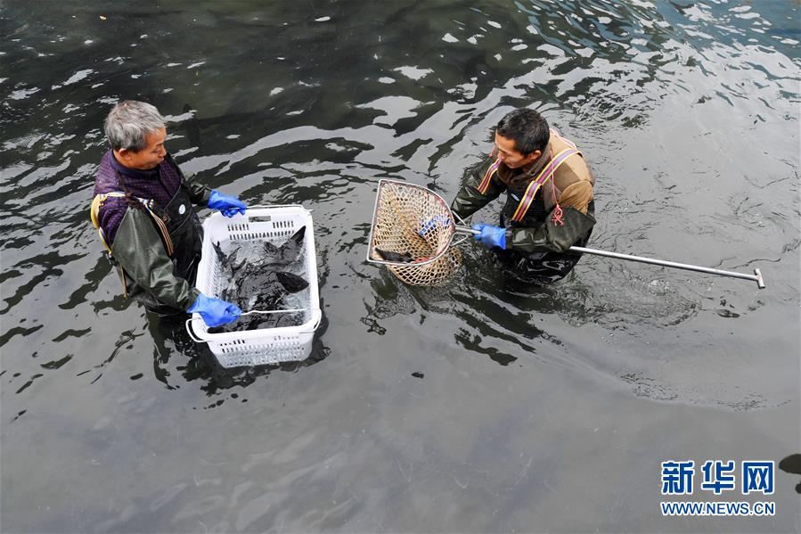 （决战决胜脱贫攻坚·图文互动）（6）多重保障 不漏一人——贵州一个脱贫“摘帽”县的防贫机制探索