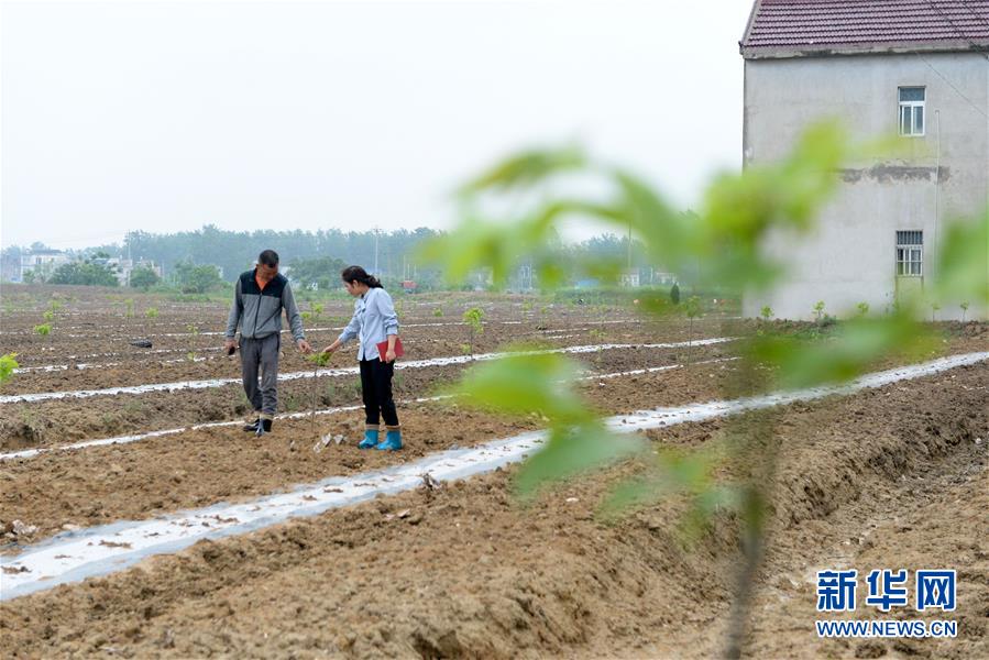 （代表委员履职）（1）全国人大代表王萌萌：产业兴旺让乡村振兴更有底气