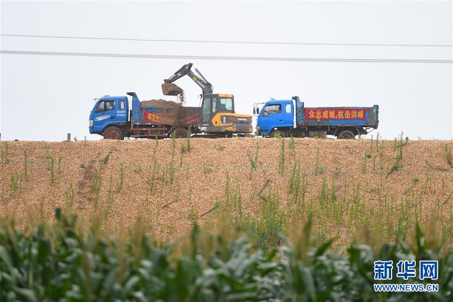 （防汛抗洪·图文互动）（4）“险情不可怕，可怕的是不能及时发现险情”——洞庭湖巡堤查险现场直击