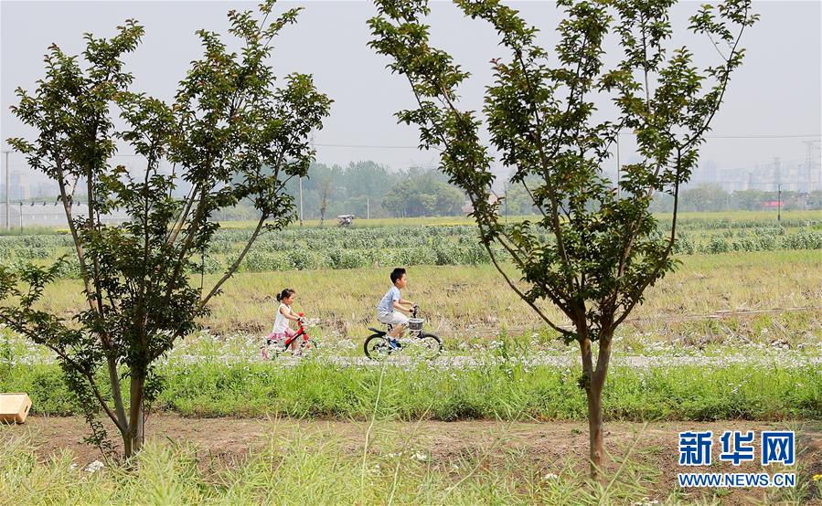 （新华全媒头条·走向我们的小康生活·图文互动）（14）城市，让人民生活更美好