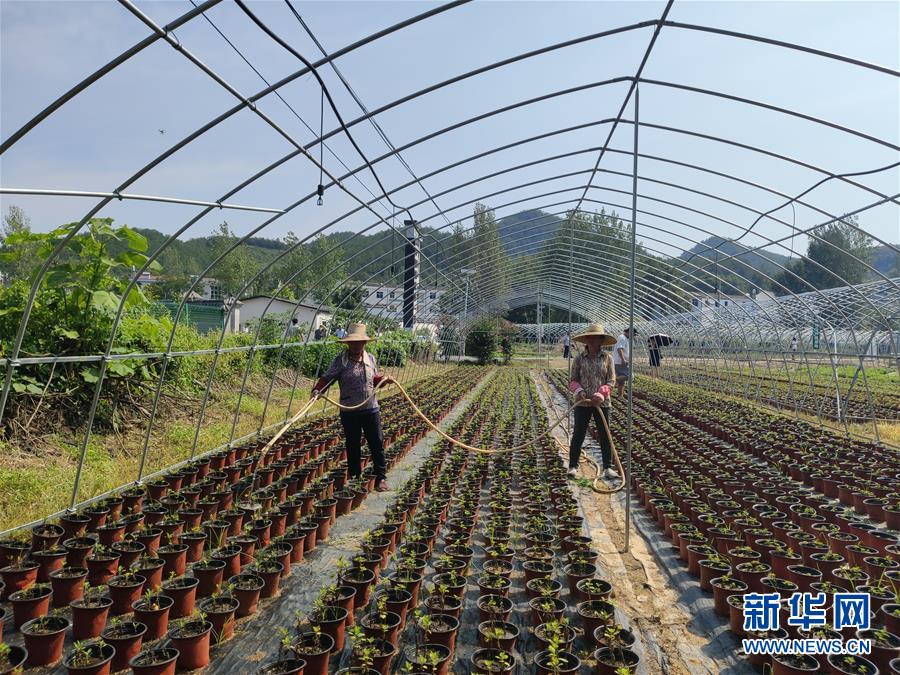 （决战决胜脱贫攻坚·图文互动）（3）安居乐业并重，搬迁脱贫同步——湖北88万搬迁群众脱贫观察 