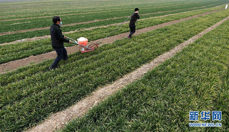 （在习近平新时代中国特色社会主义思想指引下——新时代新作为新篇章·习近平总书记关切事·图文互动）（1）抗疫之下 保供无忧