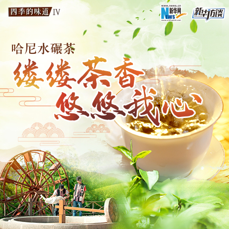 哈尼水碾茶：缕缕茶香 悠悠我心