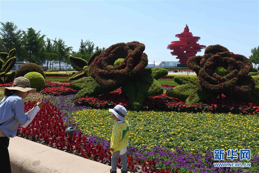 （上合青岛峰会）（6）青岛：花满岛城待宾朋  