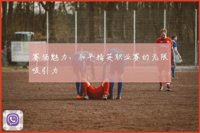 赛场魅力,和平精英职业赛的无限吸引力