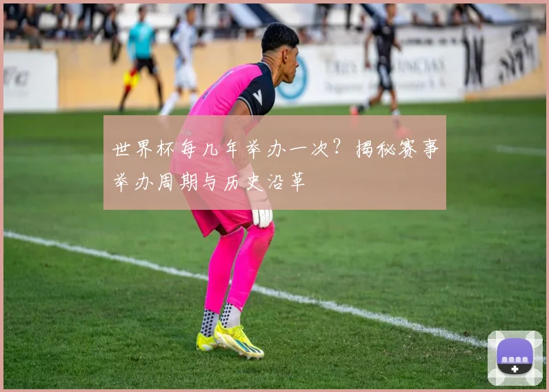 世界杯每几年举办一次？揭秘赛事举办周期与历史沿革