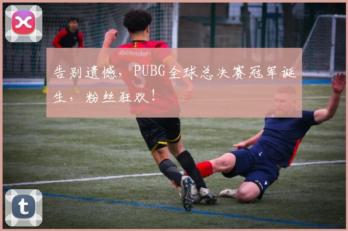 告别遗憾,PUBG全球总决赛冠军诞生,粉丝狂欢!